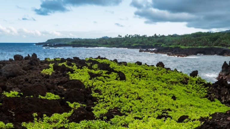 20 Things to Do in Maui, Hawaii