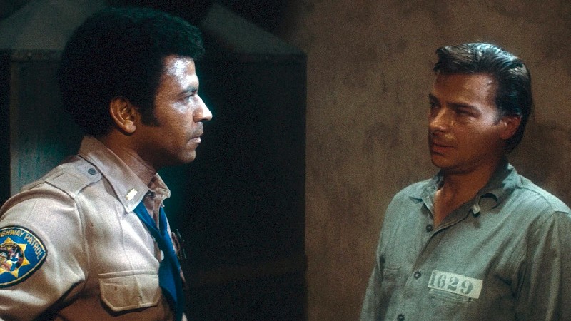 20 Best Movies Like The Warriors You Need to Watch