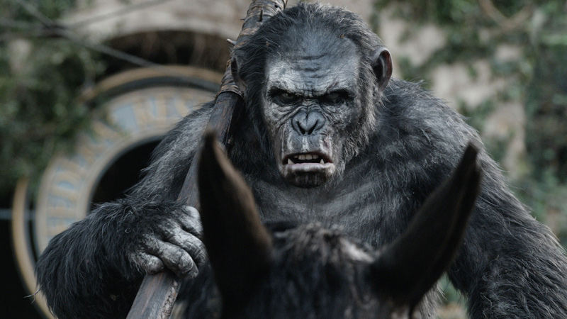 Planet of the Apes Movies in Order & How Many Are There