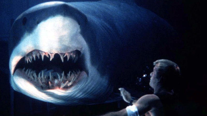 30 Best Shark Movies on Netflix, Hulu, and Amazon Prime