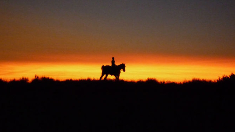 25 Best Movies About Native Americans