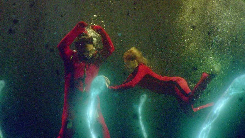 30 Best Movies Like Underwater You Need to Watch