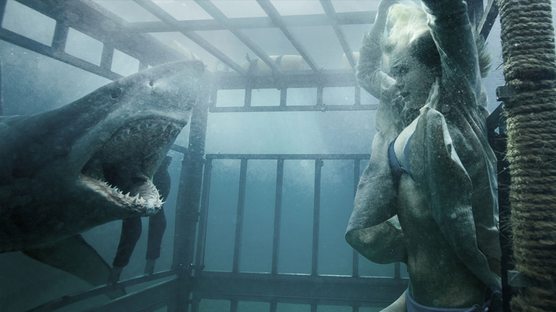 30 Best Shark Movies on Netflix, Hulu, and Amazon Prime