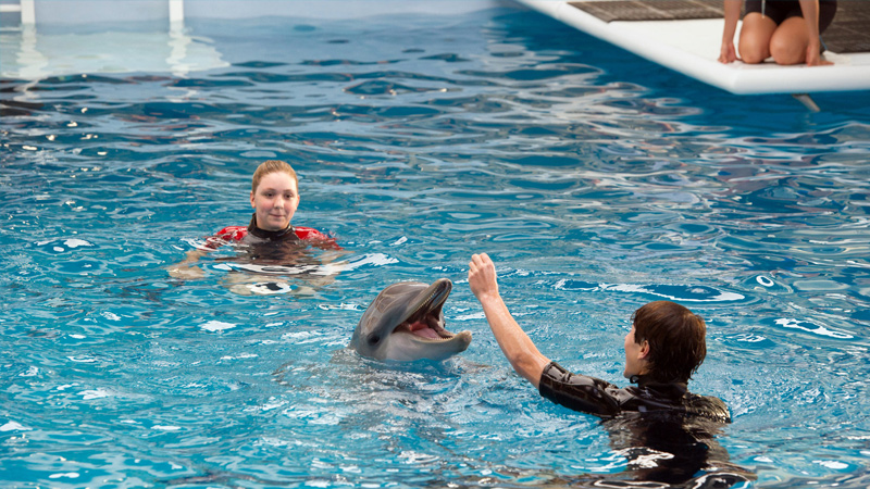 Dolphin Tale 2 (2014)