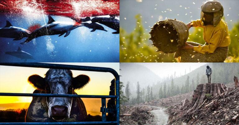 25 Best Environmental Documentaries & Movies You Need to Watch