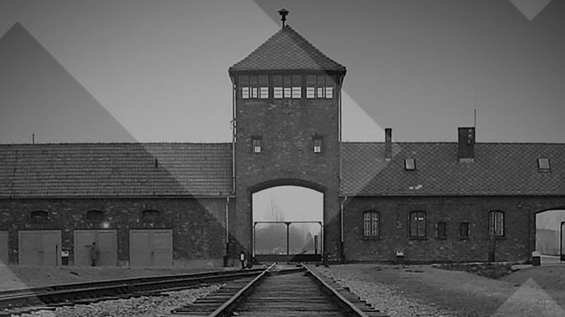 Auschwitz: Inside the Nazi State (2005)