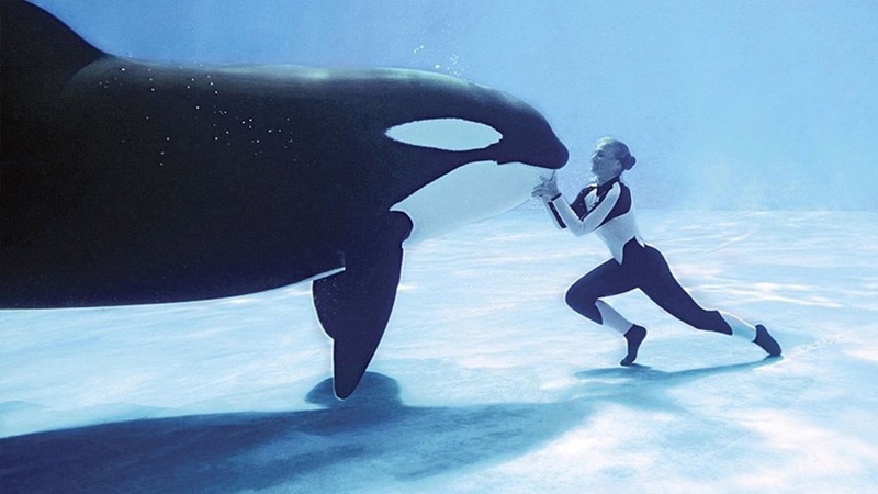 Blackfish (2013)