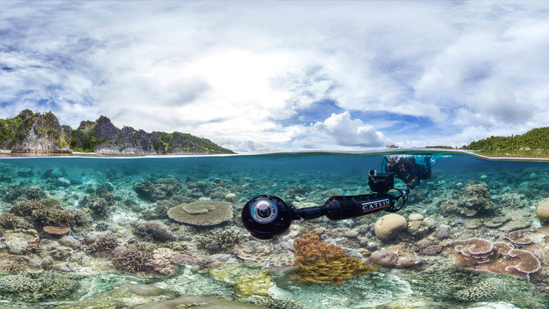 Chasing Coral (2017)