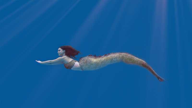Mako Mermaids (2013–2016)