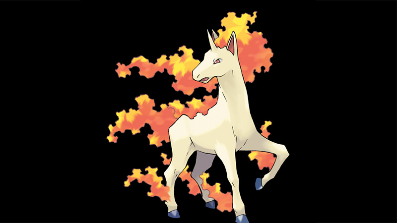 Rapidash