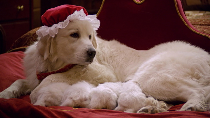 Santa Paws 2: The Santa Pups (2012)