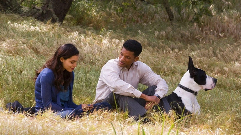 Seven Pounds (2008)