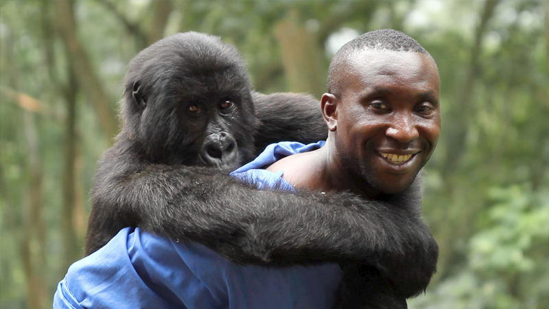 Virunga (2014)