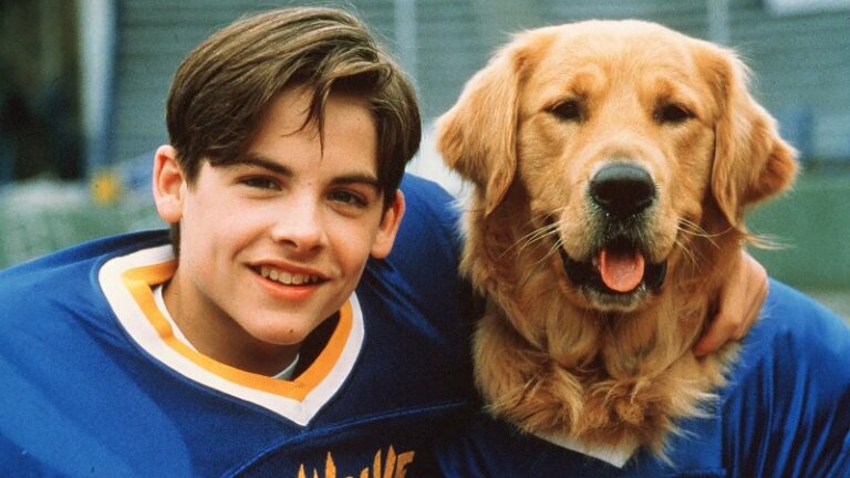Air Bud Movies in Order & How Many Are There?