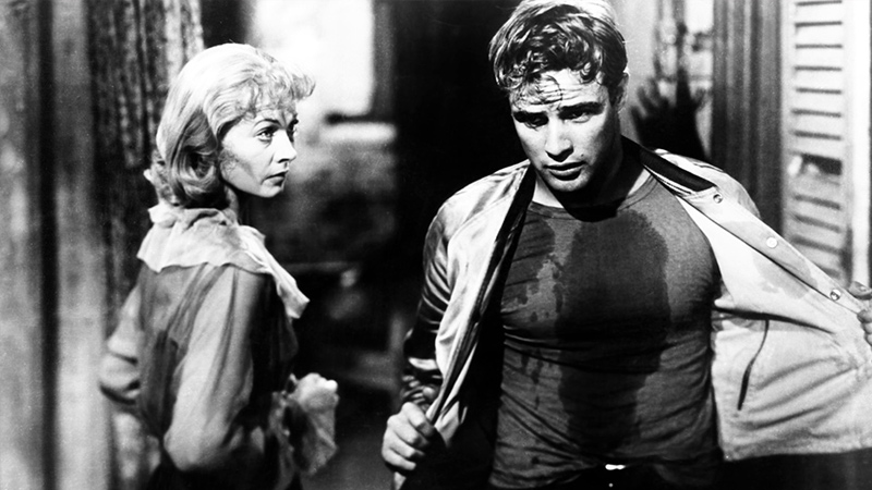 A Streetcar Named Desire (1951)