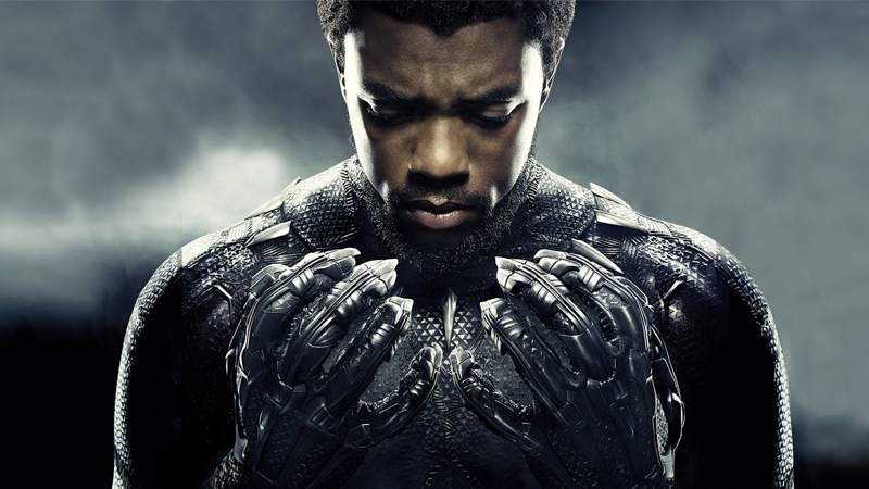 Black Panther (Black Panther)