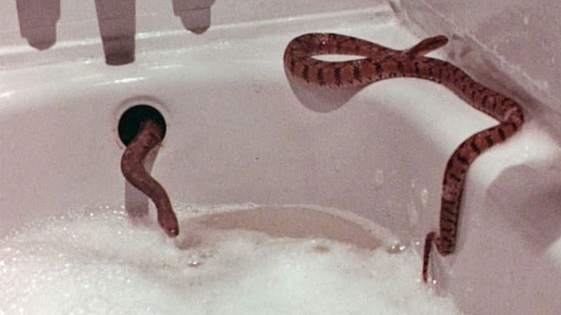 Rattlers (1976)
