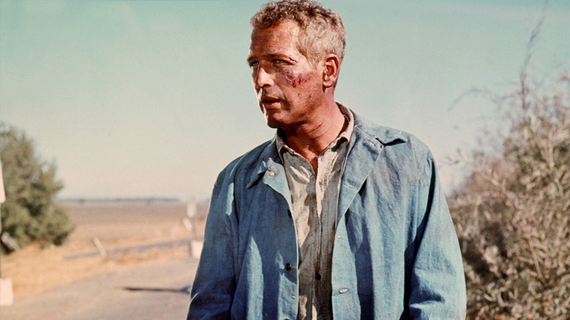 Cool Hand Luke (1967)