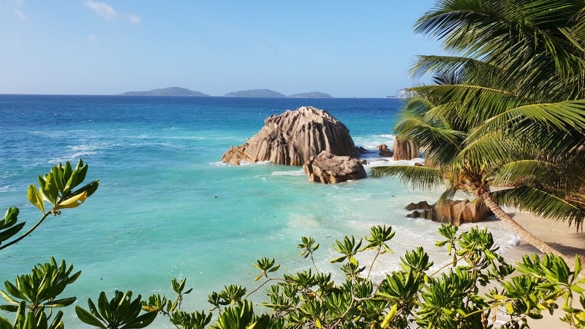 Zanzibar vs. Seychelles: Which Indian Ocean Escape Is Right for You?