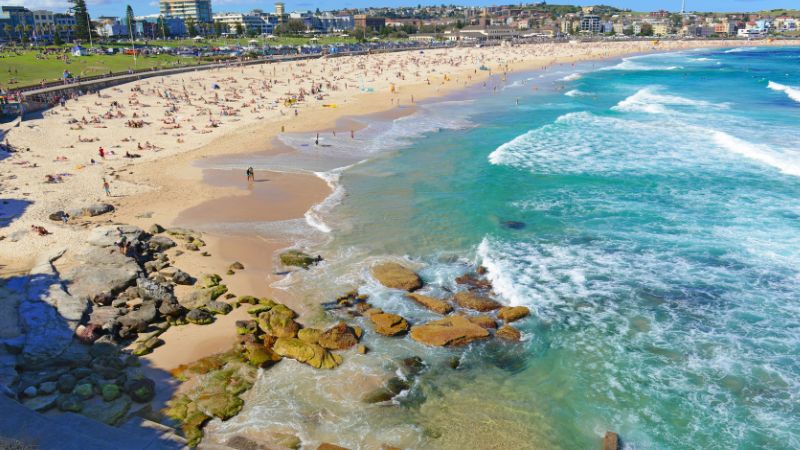 5 Days in Sydney: Opera House, Beaches & Outdoor Adventures 5 Days in Sydney: Opera House, Beaches & Outdoor Adventures