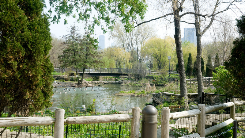 6 Days in Chicago: Deep-Dish Pizza and Lakefront Walks 6 Days in Chicago: Deep-Dish Pizza and Lakefront Walks