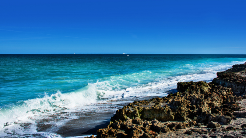 20 Hidden Gems in Florida Even Locals Don’t Know About 20 Hidden Gems in Florida Even Locals Don’t Know About