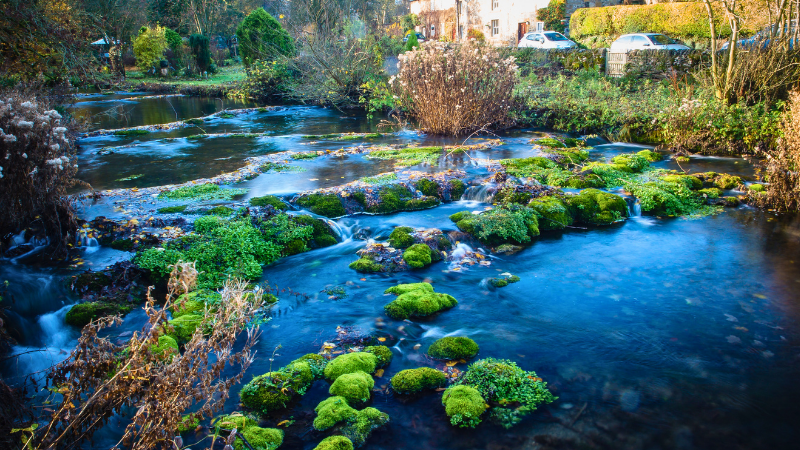 20 Hidden Gems in Florida Even Locals Don’t Know About 20 Hidden Gems in Florida Even Locals Don’t Know About