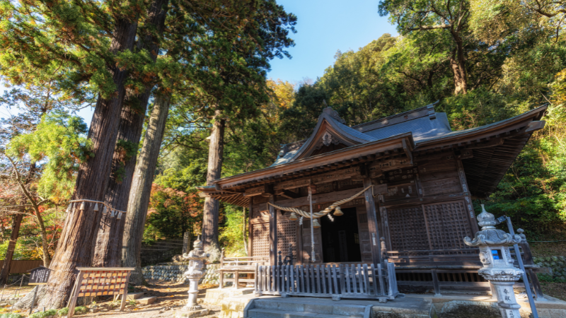 15 Unique Places to Visit in Tokyo Even Locals Don’t Know About 