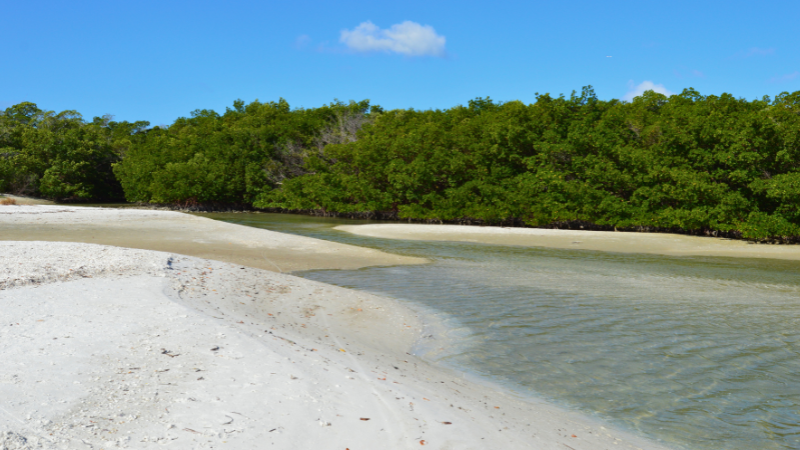 15 Hidden Beaches in Florida