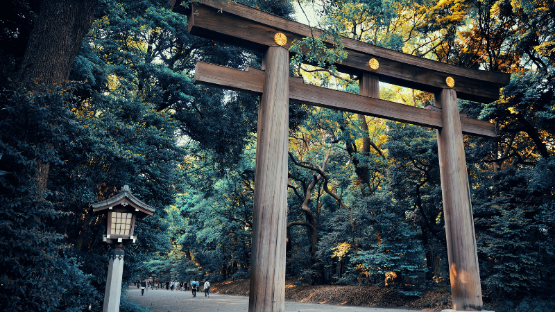 One Day in Tokyo, Japan: Essential Stops & Day Trip Tips