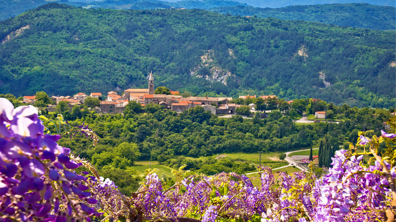 20 Beautiful Summer Destinations in France