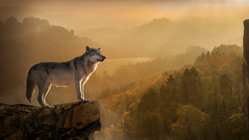 20 Hidden Gems in Florida Even Locals Don’t Know About 20 Hidden Gems in Florida Even Locals Don’t Know About