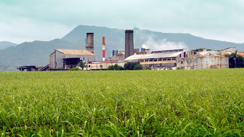 20 Hidden Gems in Florida Even Locals Don’t Know About 20 Hidden Gems in Florida Even Locals Don’t Know About