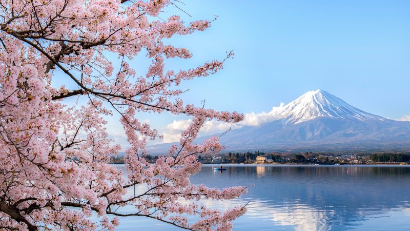 Mount Fuji vs. Hakone: Which Japanese Nature Getaway Should You Pick?