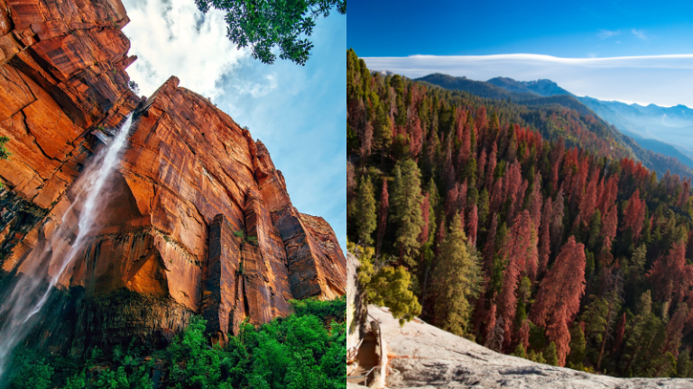 Yosemite vs. Sequoia National Park: Which California Park Is Worth It?