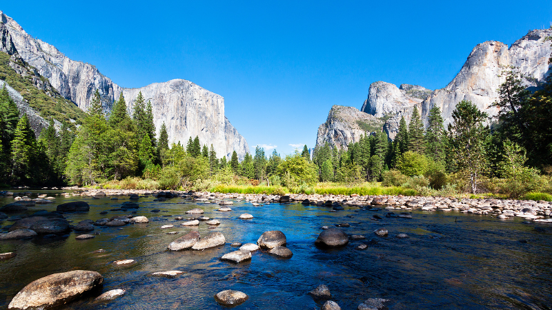 Yosemite vs. Sequoia National Park: Which California Park Is Worth It?