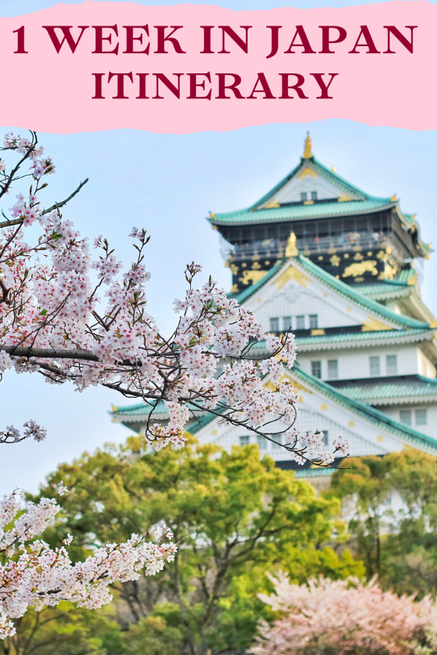 1 Week in Japan: Tokyo Buzz, Temples & Sushi Trails 1 Week in Japan: Tokyo Buzz, Temples & Sushi Trails