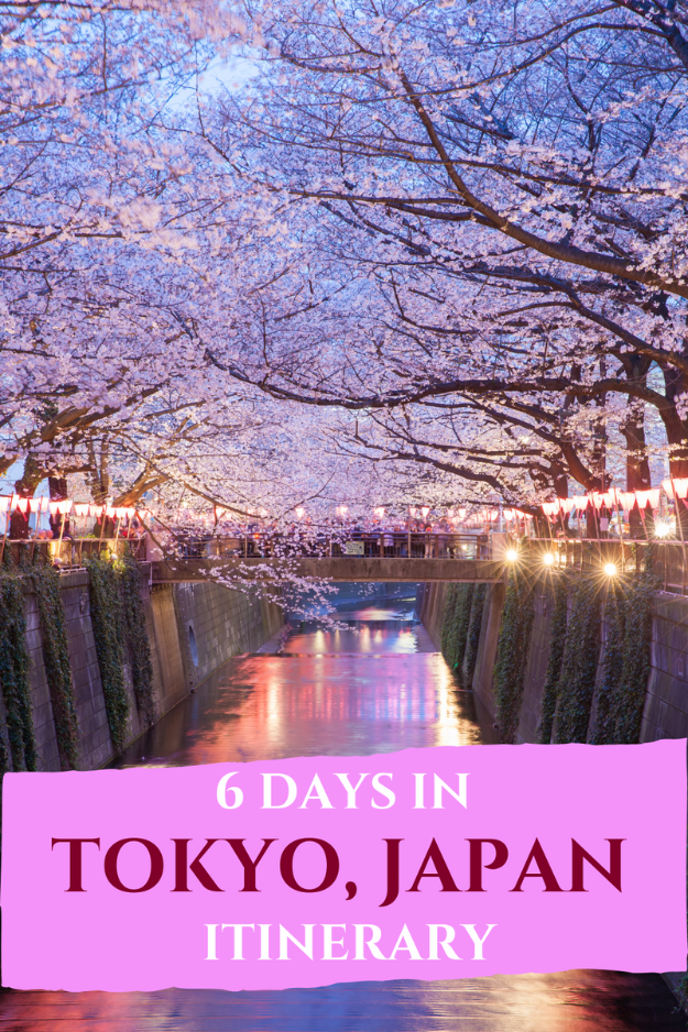 6 Days in Tokyo: Neon Streets and Sushi Dreams 6 Days in Tokyo: Neon Streets and Sushi Dreams