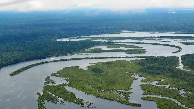 1 Week in Brazil: Rio Rhythms, Beaches & Jungle Escapes 1 Week in Brazil: Rio Rhythms, Beaches & Jungle Escapes