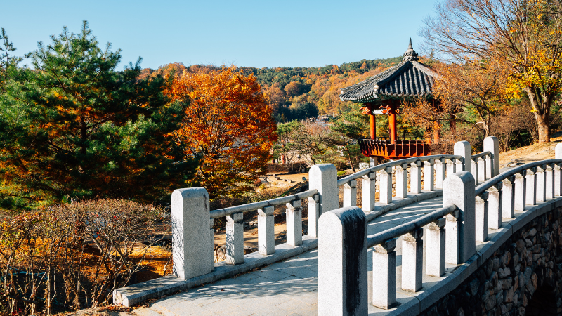 Day Trips from Seoul by Train, Bus, or Car: Korea’s Best Getaways Beyond the City Day Trips from Seoul by Train, Bus, or Car: Korea’s Best Getaways Beyond the City
