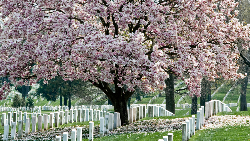 5 Days in Washington D.C.: Monuments, Museums & Politics 5 Days in Washington D.C.: Monuments, Museums & Politics