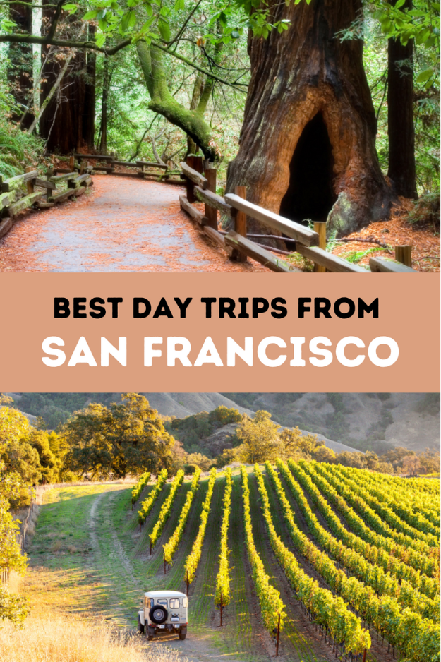 Day Trips from San Francisco by Train, Bus, or Car: Wine Country, Redwoods & More Day Trips from San Francisco by Train, Bus, or Car: Wine Country, Redwoods & More