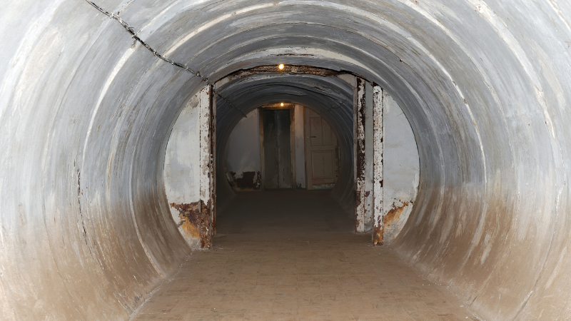 One Day in Moscow, Russia: Grand Palaces & Soviet Secrets One Day in Moscow, Russia: Grand Palaces & Soviet Secrets