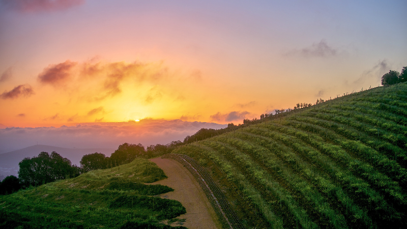 Four Days in Cape Town: From Table Mountain to Wine Country Four Days in Cape Town: From Table Mountain to Wine Country