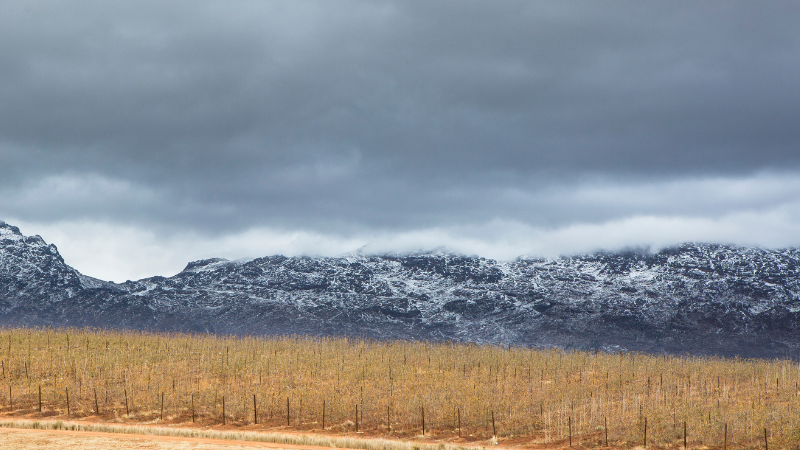 Day Trips from Cape Town by Train, Bus, or Car: South Africa’s Natural Wonders Day Trips from Cape Town by Train, Bus, or Car: South Africa’s Natural Wonders