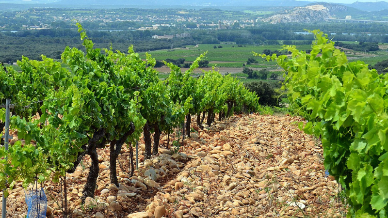 1 Week in France: Paris, Provence & Wine Escapes 1 Week in France: Paris, Provence & Wine Escapes