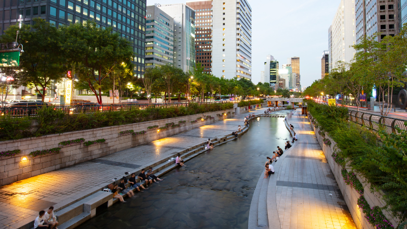 6 Days in Seoul: K-Pop, Palaces, and Street Snacks 6 Days in Seoul: K-Pop, Palaces, and Street Snacks