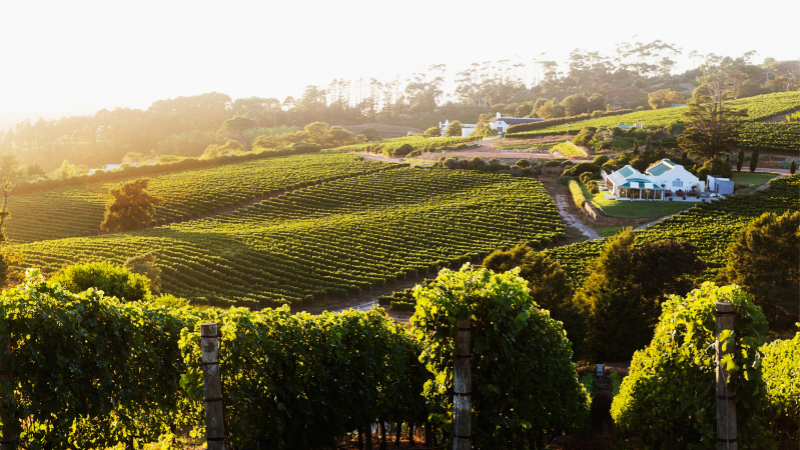 Two Days in Cape Town, South Africa: Ultimate Travel Guide & Itinerary Two Days in Cape Town, South Africa: Ultimate Travel Guide & Itinerary