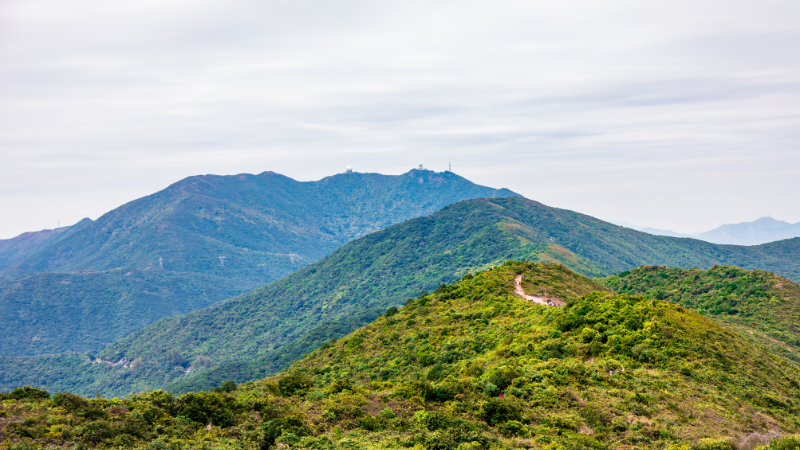 5 Days in Hong Kong: Skyscrapers, Dim Sum & Stunning Hikes 5 Days in Hong Kong: Skyscrapers, Dim Sum & Stunning Hikes