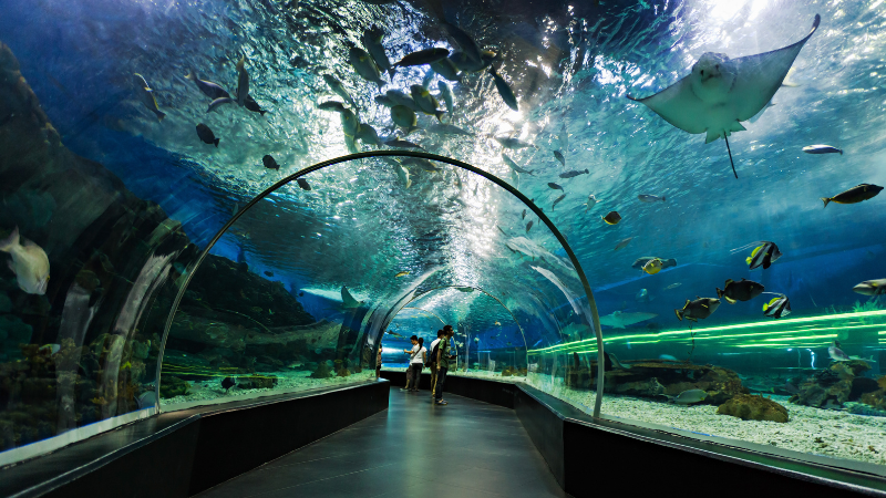 Three Days in Dubai: Skyscrapers, Souks & Desert Adventures Three Days in Dubai: Skyscrapers, Souks & Desert Adventures